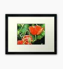 Floppy Poppy Framed Print