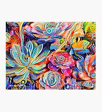Escheveria Delight Photographic Print