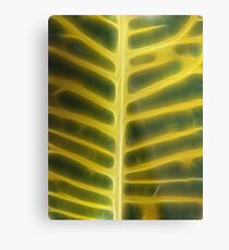 Highway Metal Print