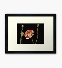 Perseverance Framed Print