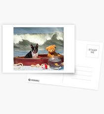 Ship wrecked Postcards