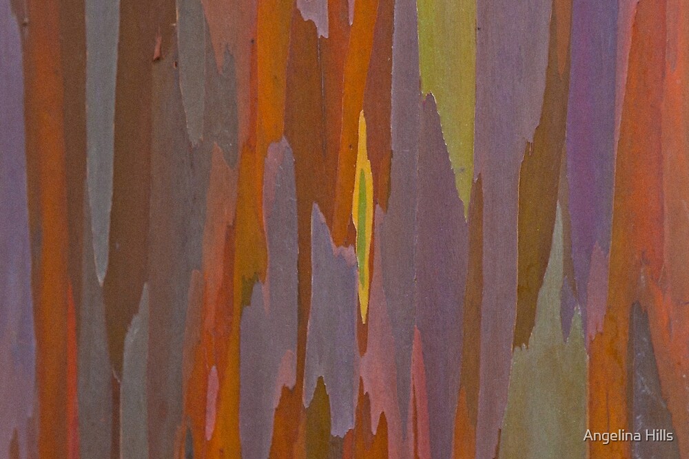 Rainbow Eucalyptus Tree Bark By Angelina Hills Redbubble