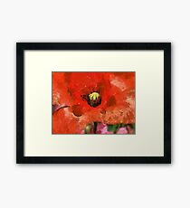 Red Sensation Framed Print
