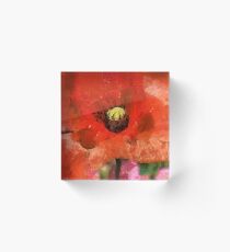 Red Sensation Acrylic Block