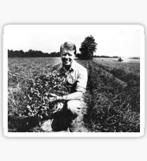 Jimmy Carter Peanut Farmer Sticker