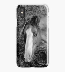 Salt River Red Dun Stallion iPhone Case/Skin
