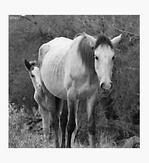 It's a Big, New World Photographic Print
