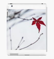 Acer leaf iPad Case/Skin
