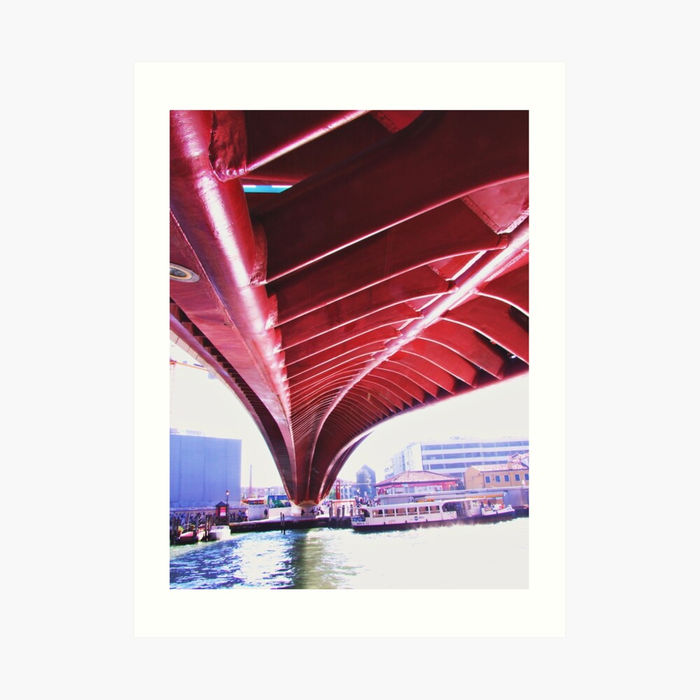 Also this is Venice 7 Art Print