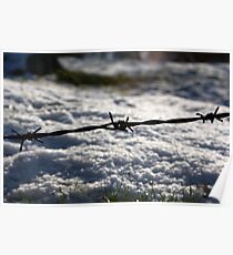 wire fence Poster