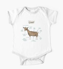 Anatomie einer Ziege Baby Body Kurzarm