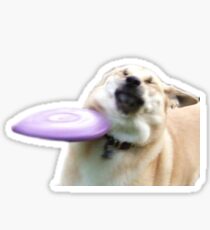 Pegatina FRISBEE DOG MEME LMAO