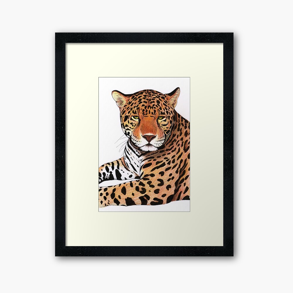 "Jaguar" Framed Art Print by savousepate Redbubble