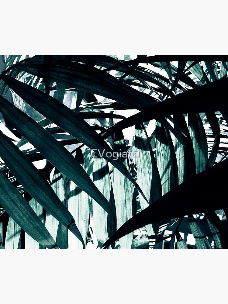 Inside of the Jungle by CVogiatzi