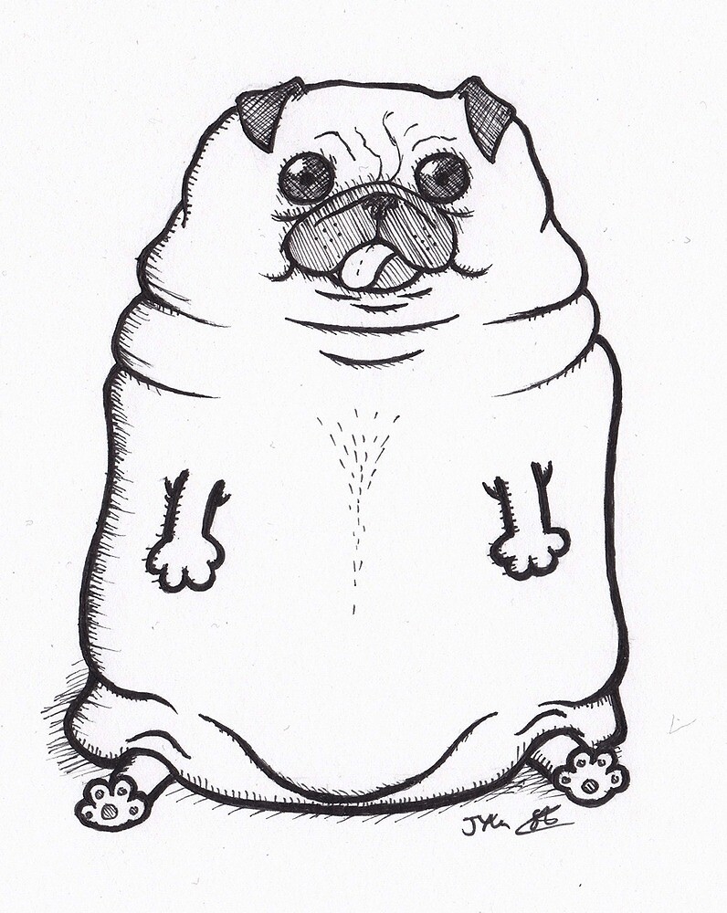 Fat Pug