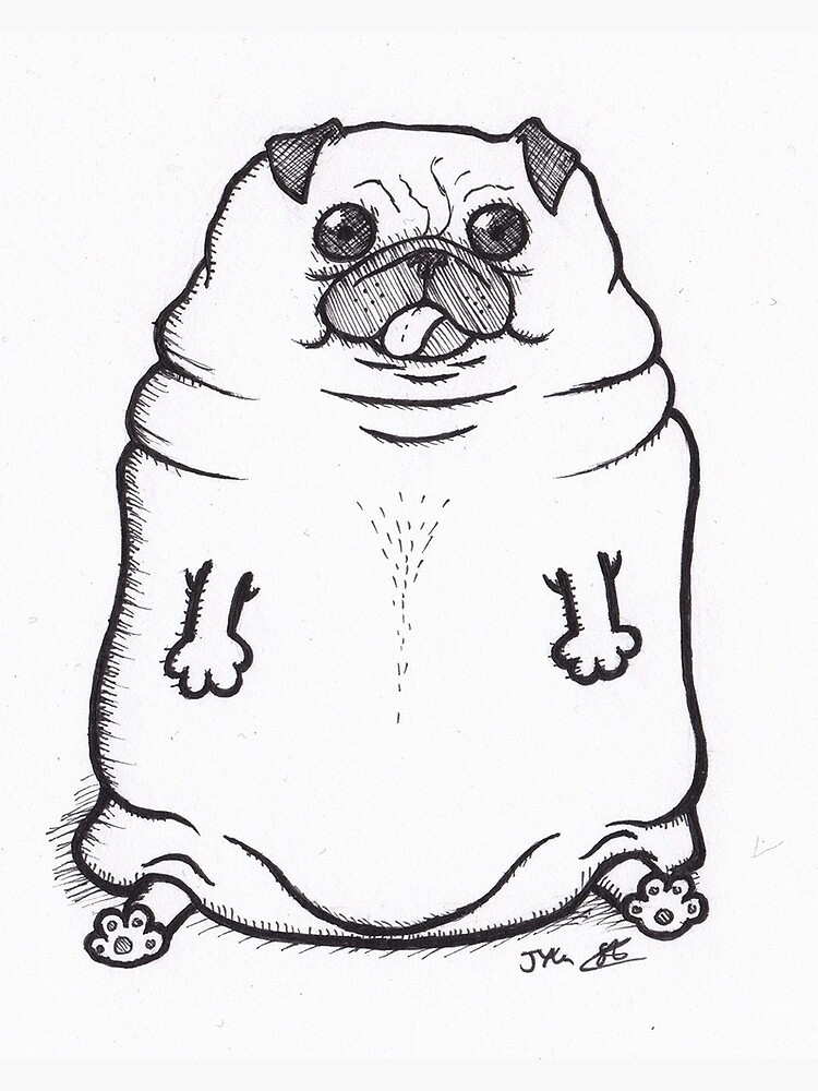 Pug Line Drawing - Clashing Pride