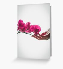 Elegant Orchid Greeting Card