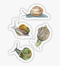 Slippery Snails 2 Sticker