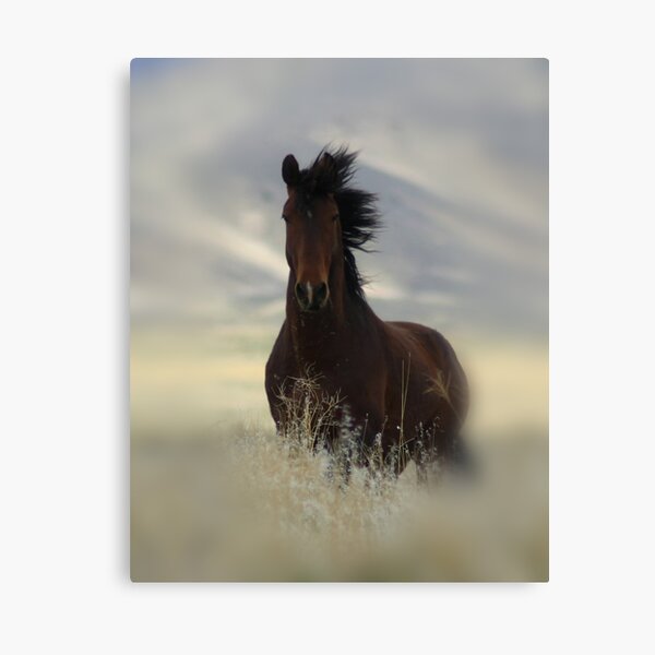 Iconic Canvas Print