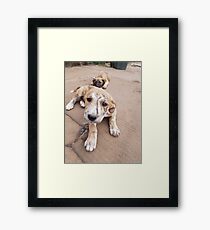 Moony Framed Print