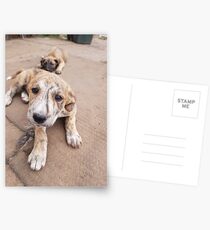 Moony Postcards
