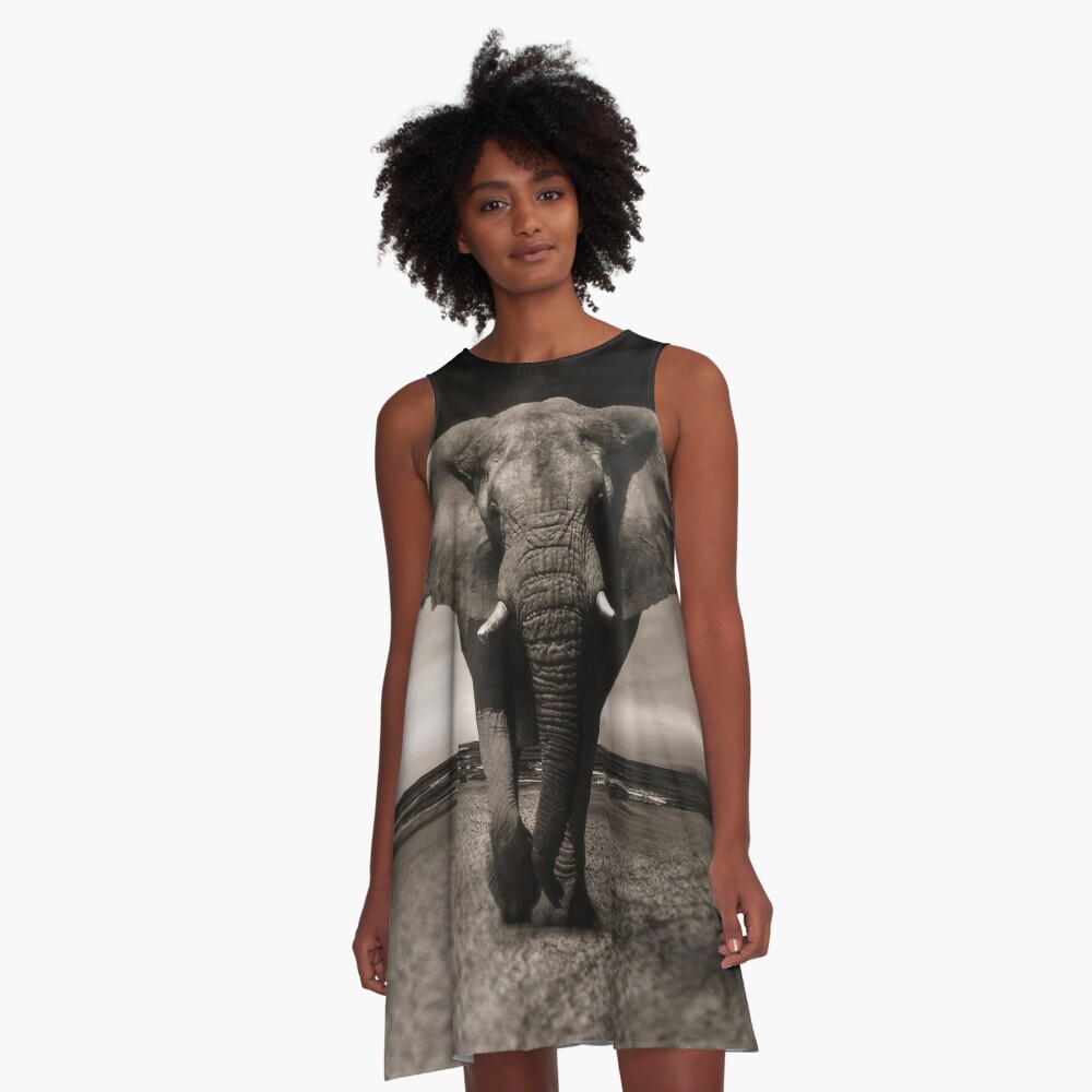 Elephant Black and White Photo-realistic Print A-Line Dress