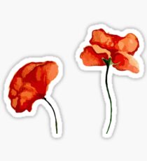 blood orange poppies Sticker