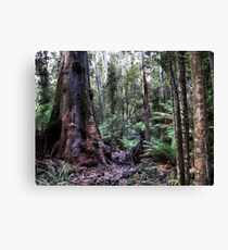 Huon Valley. Tasmania Canvas Print