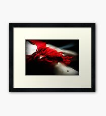 Fleeting flamenco Framed Print