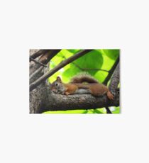 Lazy Squirrel Art Board
