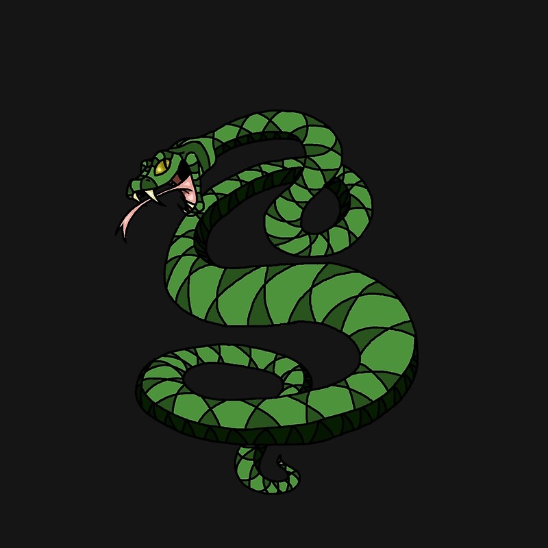 Змеи цветовая схема. Tunnel Snakes. Tunnel Snakes Rule. Tunnel Snakes Rule нашивка. Snake Flame.