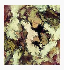 Overhang Photographic Print