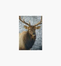 Cerf canadien Art Board