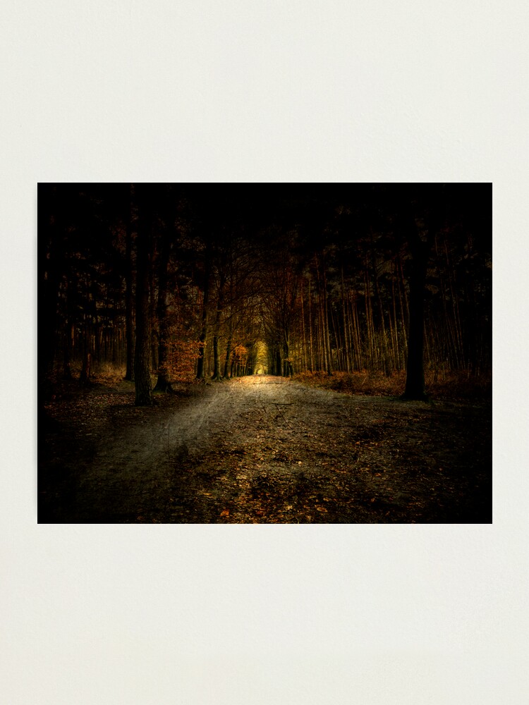 Alternate view of Just go on Photographic Print