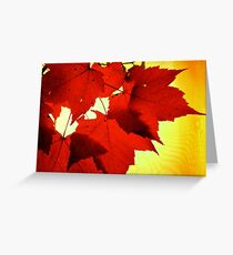 RED NOVEMBER Greeting Card