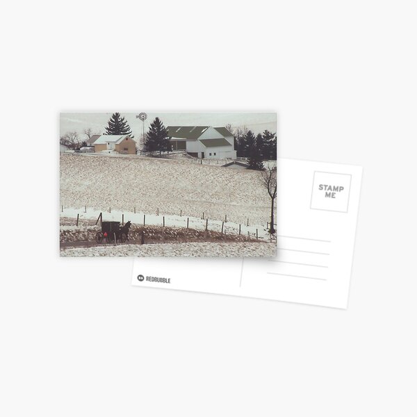 Amish Farm Postcard