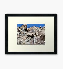 Flashin' a B.A. Framed Print