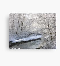 Ice Water Canvas Print