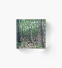 New Hampshire Woods Acrylic Block
