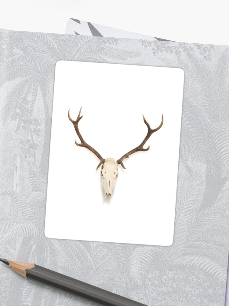 Deer Antlers And Skull Boho Animal Decor Sticker By Aprilfourth