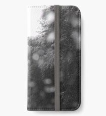 Snow iPhone Wallet/Case/Skin