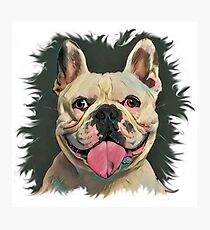 Lámina fotográfica BULLDOG FRANCÉS