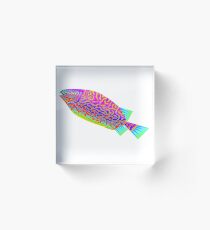 The Vivid Acrylic Block