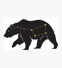 Ursa Major Bear Gold Photographic Print