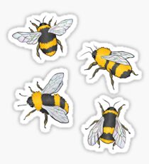 BEES? Sticker