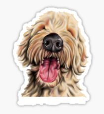 Cream with Black Nose Australian Cobberdog/Australian Labradoodle Sticker