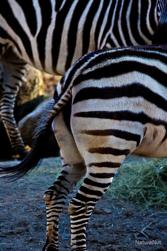 "Zebra Tail" by NatureNut Redbubble