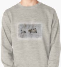 Great day for ducks Pullover