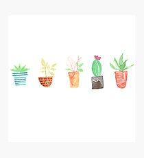 Watercolor Potted Plants Photographic Print