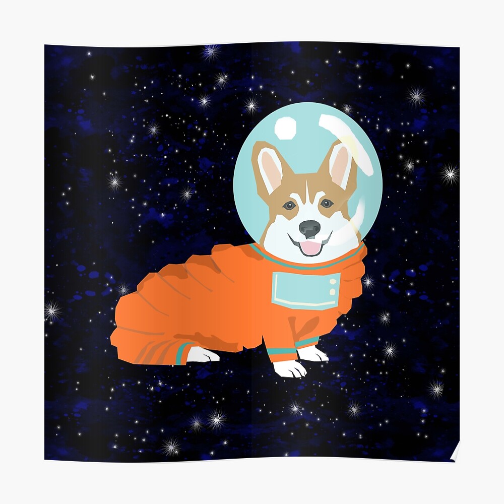 corgi in space shirt